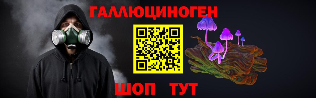 закладка  Галлюциногенные грибы мицелий  Вход с VPN  Аша  Галлюциногенные грибы Cubensis 